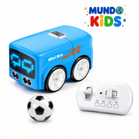 Magic Mini Bus